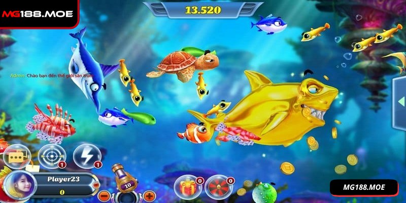 Có nhiều phòng đấu thoải mái lựa chọn theo khả năng